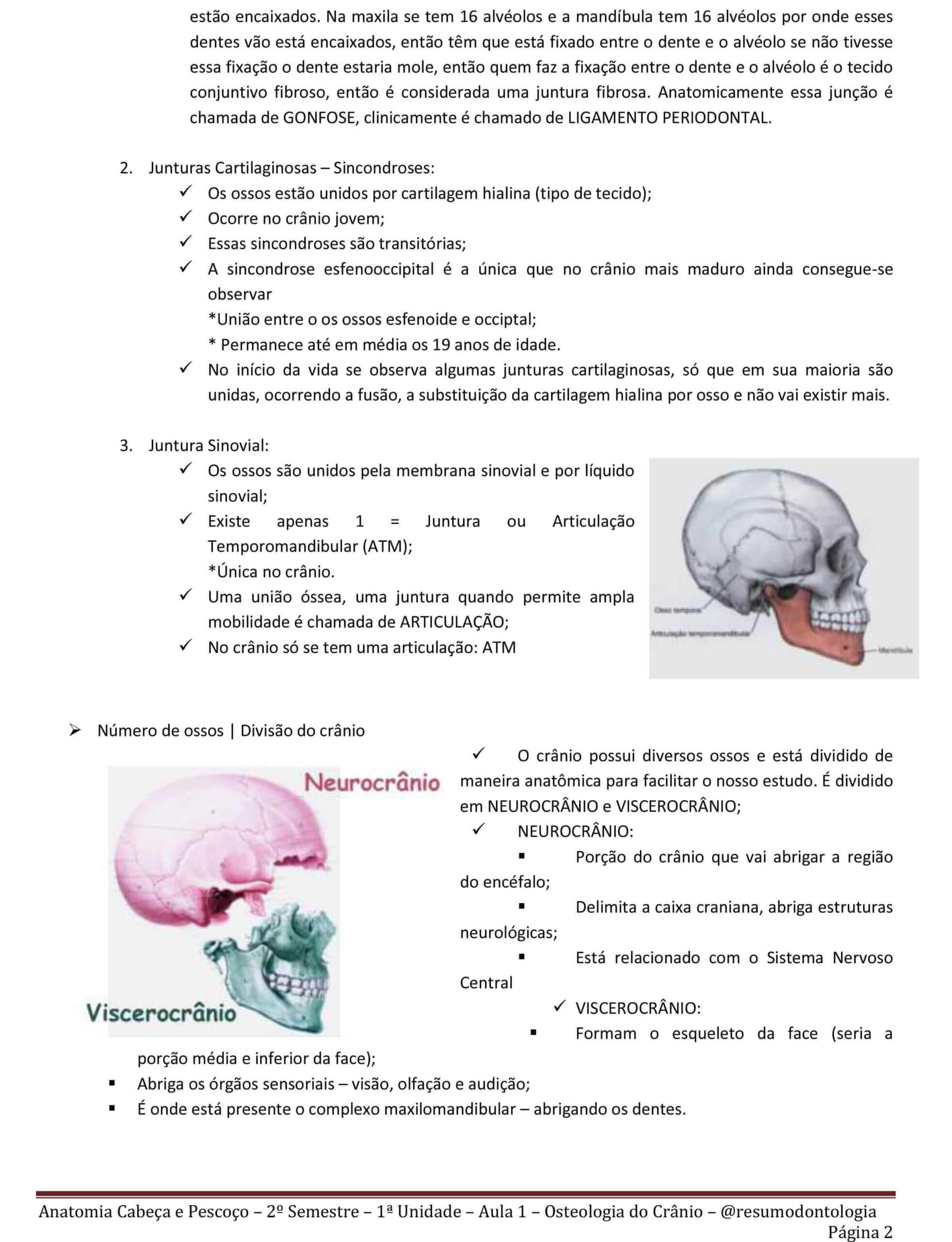 Resumo Periodontia Resumos De Odontologia