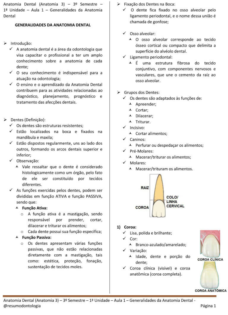 Anatomia Dental (Anatomia 3) - 3º Semestre - 1ª Unidade - Aula 1 - Generalidades - ATUALIZADO-1