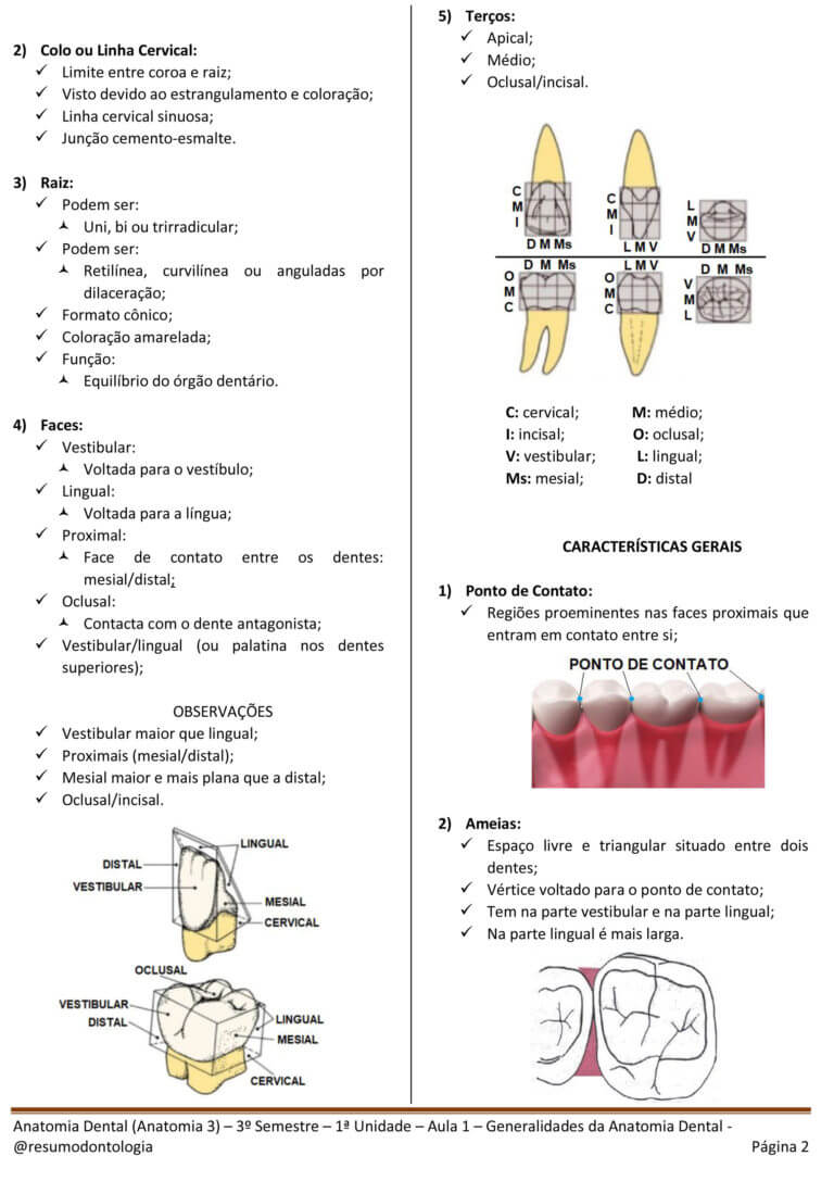 Anatomia Dental (Anatomia 3) - 3º Semestre - 1ª Unidade - Aula 1 - Generalidades - ATUALIZADO-2