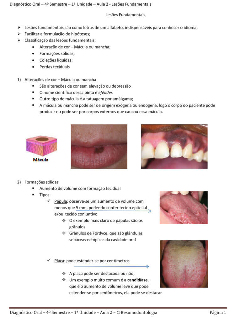 Diagnóstico Oral – 4º Semestre – 1ª Unidade – Aula 1 - Introdução à estomatologia-3