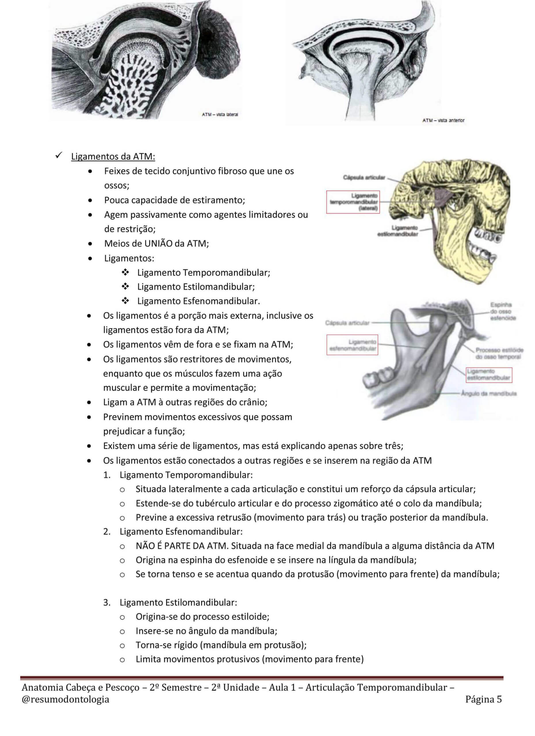 Resumo Pacientes Com Necessidades Especiais Pne Resumos De Odontologia