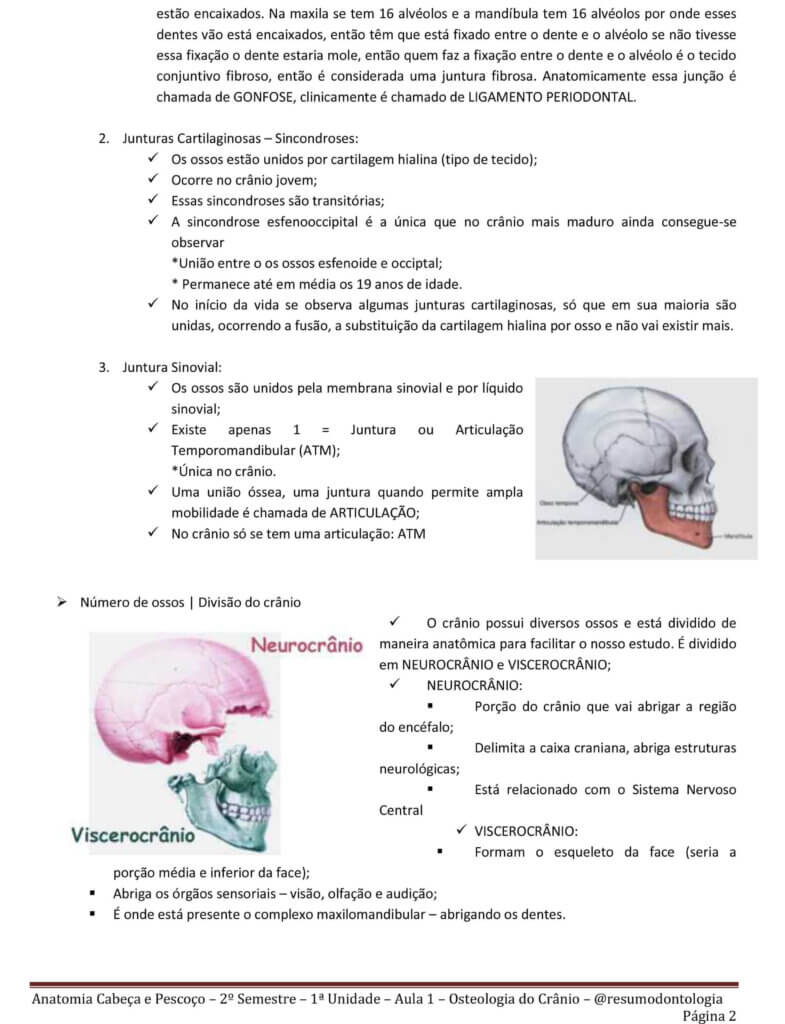 Estudo Radiográfico do Crânio  Resumos Diagnóstico por Imagem